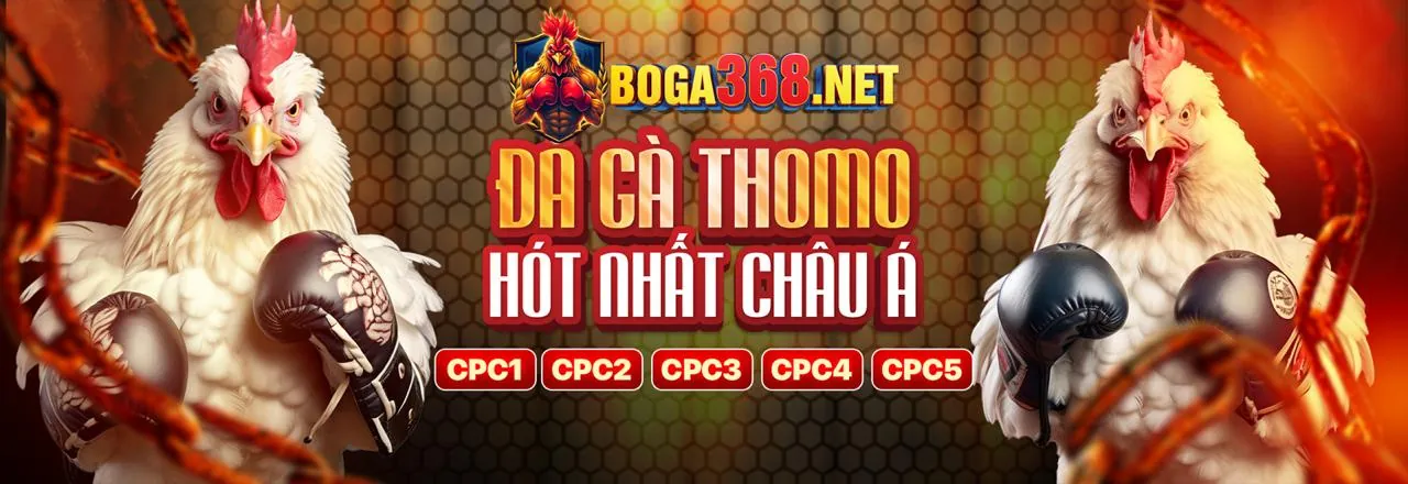Biện pháp bảo mật dữ liệu mạnh mẽ tại zv99