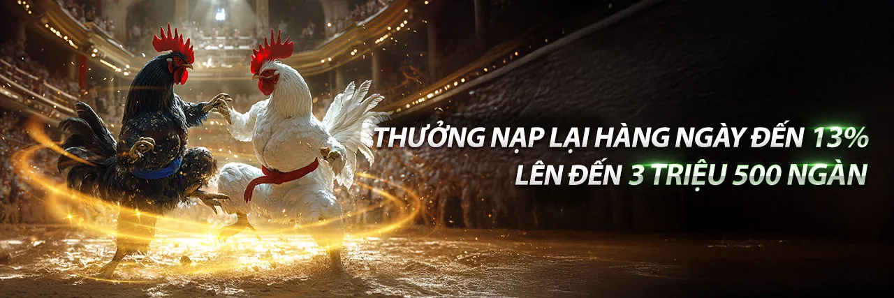 Đá Gà Trực Tuyến zv99 2026