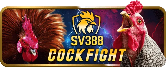 Cá cược tennis zv99